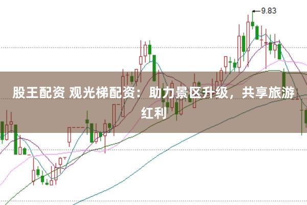 股王配资 观光梯配资：助力景区升级，共享旅游红利