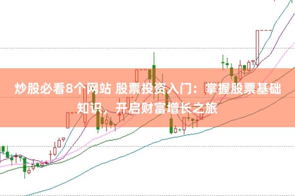 炒股必看8个网站 股票投资入门：掌握股票基础知识，开启财富增长之旅