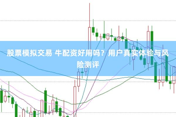 股票模拟交易 牛配资好用吗？用户真实体验与风险测评