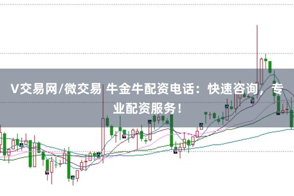 V交易网/微交易 牛金牛配资电话：快速咨询，专业配资服务！