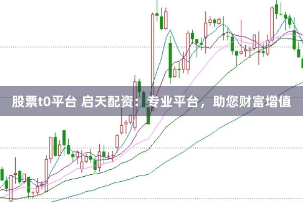 股票t0平台 启天配资：专业平台，助您财富增值
