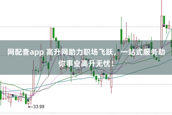 网配查app 高升网助力职场飞跃，一站式服务助你事业高升无忧！