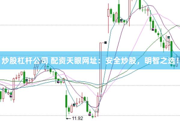 炒股杠杆公司 配资天眼网址：安全炒股，明智之选！