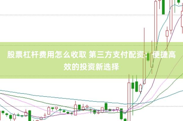 股票杠杆费用怎么收取 第三方支付配资：便捷高效的投资新选择