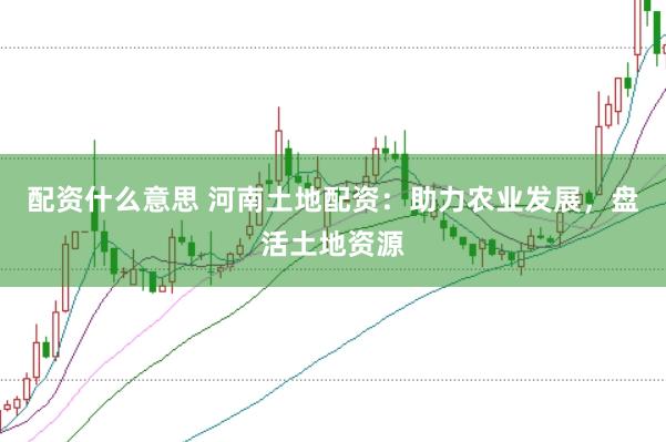 配资什么意思 河南土地配资：助力农业发展，盘活土地资源
