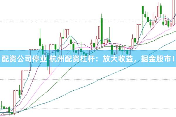 配资公司停业 杭州配资杠杆：放大收益，掘金股市！