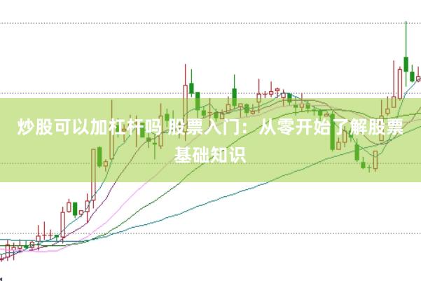 炒股可以加杠杆吗 股票入门：从零开始了解股票基础知识