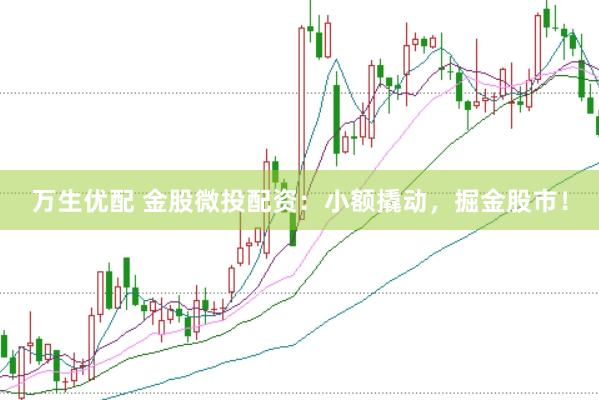 万生优配 金股微投配资：小额撬动，掘金股市！