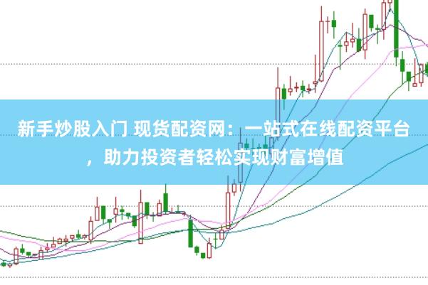 新手炒股入门 现货配资网：一站式在线配资平台，助力投资者轻松实现财富增值