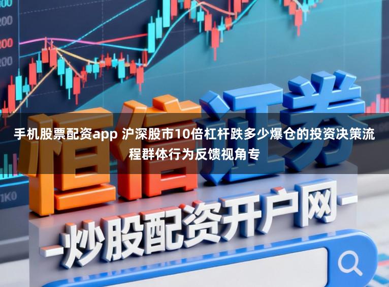 手机股票配资app 沪深股市10倍杠杆跌多少爆仓的投资决策流程群体行为反馈视角专