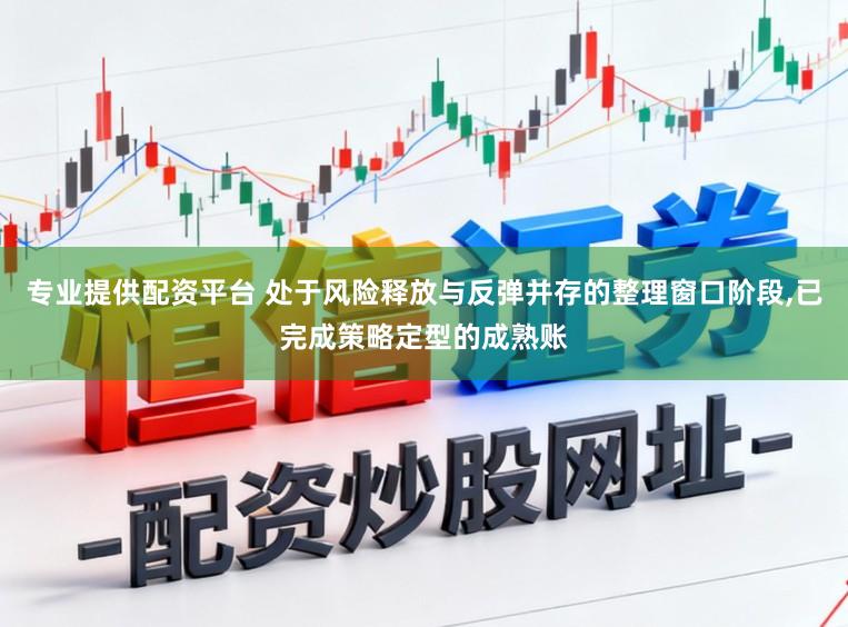 专业提供配资平台 处于风险释放与反弹并存的整理窗口阶段，已完成策略定型的成熟账