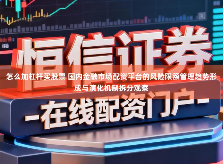 怎么加杠杆买股票 国内金融市场配资平台的风险限额管理趋势形成与演化机制拆分观察