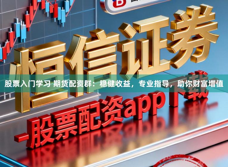 股票入门学习 期货配资群：稳健收益，专业指导，助你财富增值