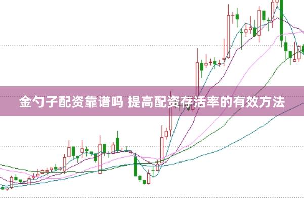 金勺子配资靠谱吗 提高配资存活率的有效方法